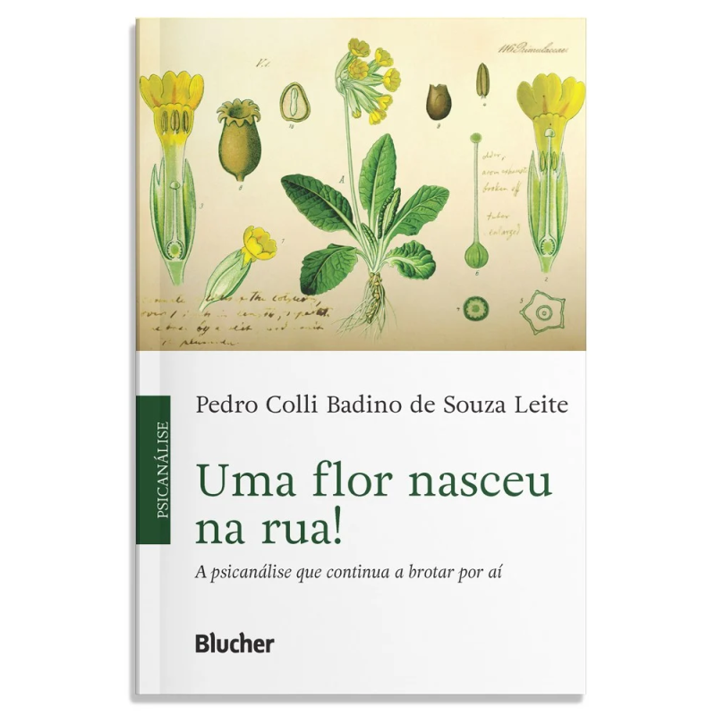 Uma flor nasceu na rua! - A psicanálise que continua a brotar por aí