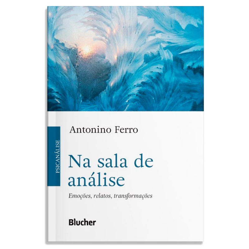 Na sala de análise - emoções, relatos, transformações